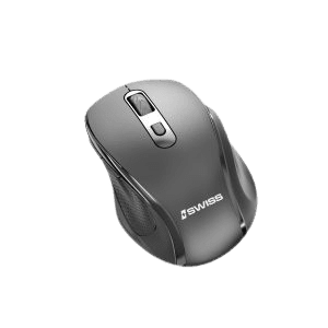 Ergonomic Wirelees Mouse